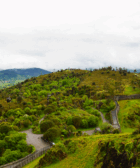 Cabárceno