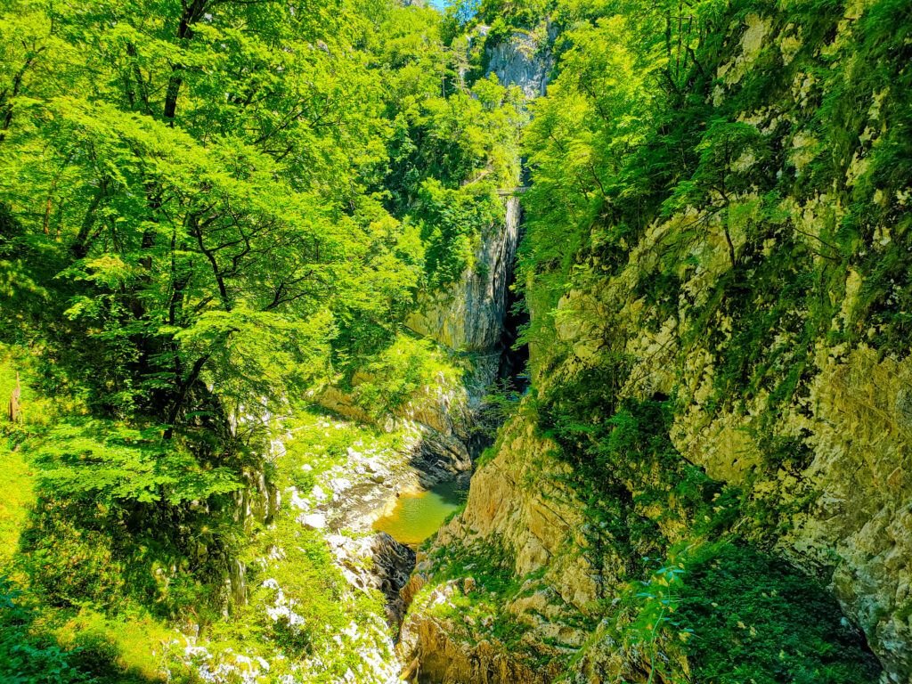 Skocjan entorno