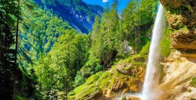 Interior de Pericnik