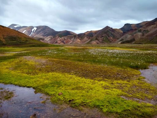 Valle Vondugil - Landmannalaugar